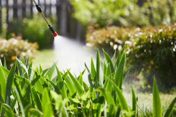 24/7 Emergency Mosquito Control experts in Austin, AR